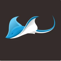 Team Page: Stingrays